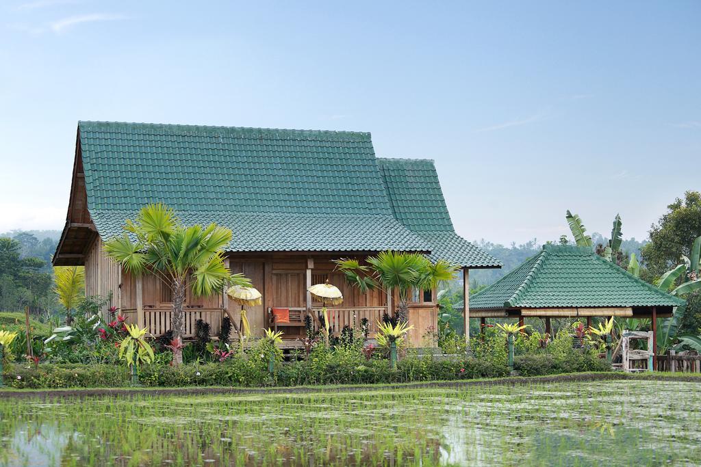 Ti Amo Bali Hotel Jatiluwih Exterior foto