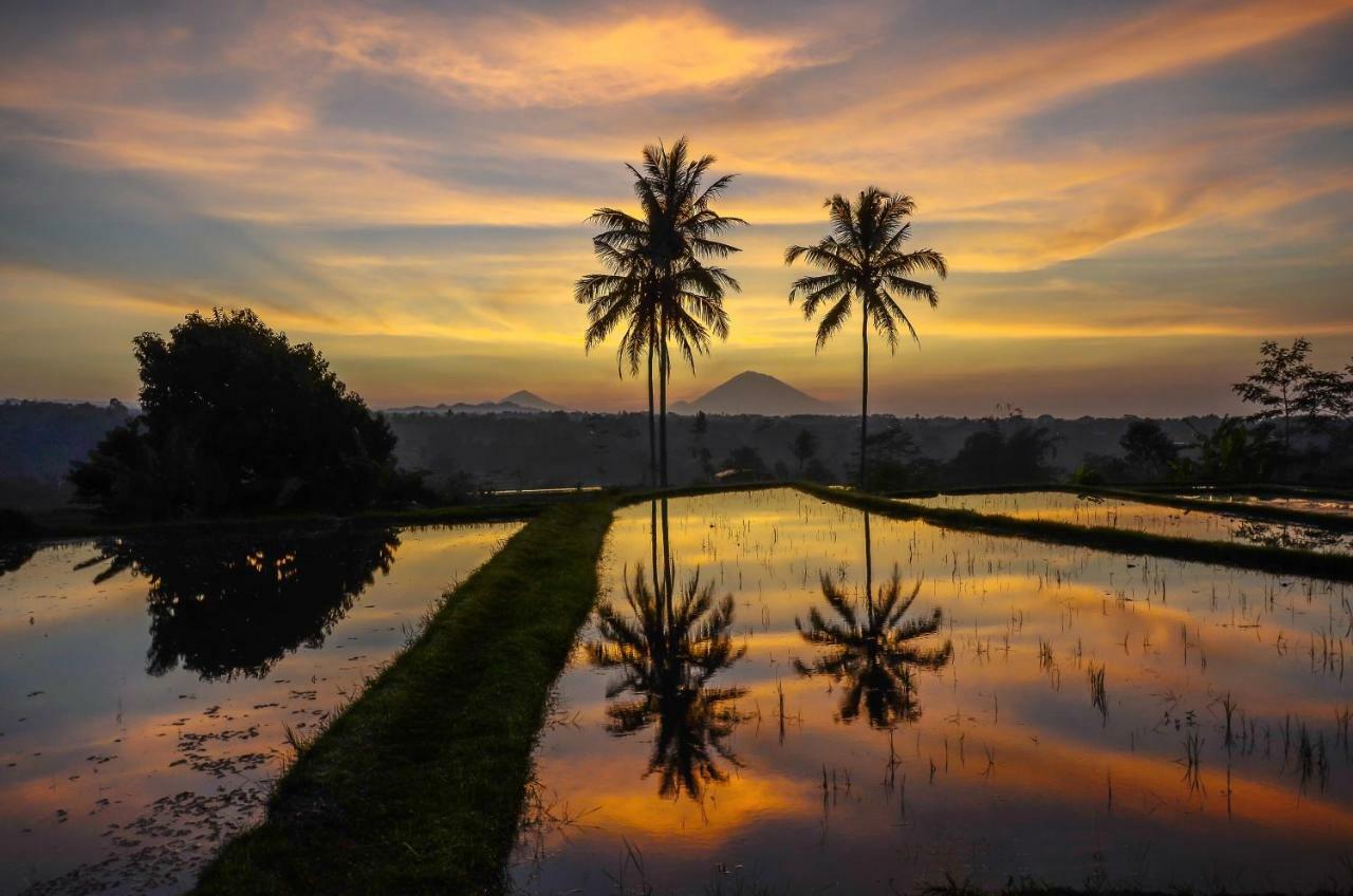 Ti Amo Bali Hotel Jatiluwih Exterior foto