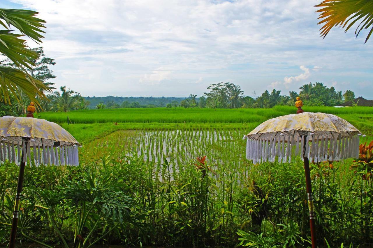 Ti Amo Bali Hotel Jatiluwih Exterior foto